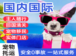 敦煌莫高机场邮寄国际宠物托运 【国